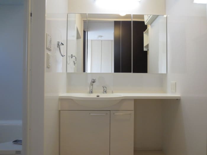 洗面 D-room彩都ピア