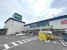 にしてつストア レガネット 朝倉街道(スーパー)まで694m フル－ル９８