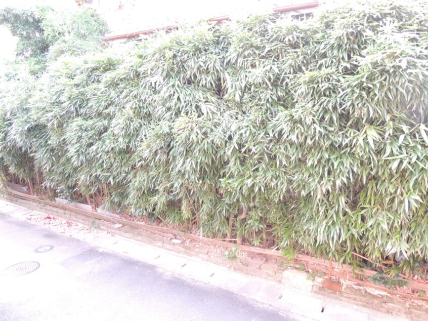 周辺環境 エクセレント荒木