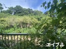 室内からの展望 ﾌﾞﾙｰﾙｰﾌ