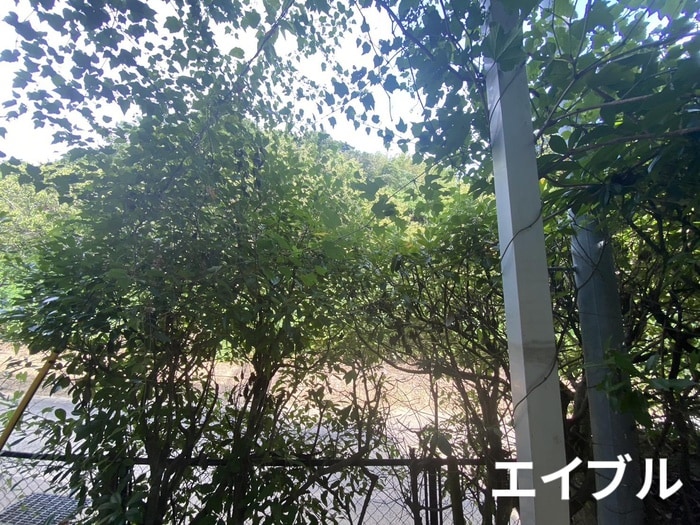 室内からの展望 ﾌﾞﾙｰﾙｰﾌ