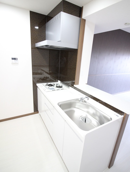 キッチン ハイネス若園Ⅱ