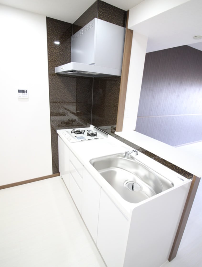 キッチン ハイネス若園Ⅱ