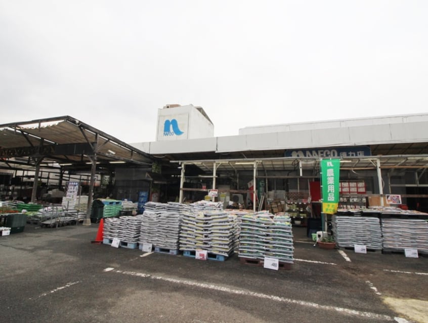 ホームプラザナフコ徳力店(電気量販店/ホームセンター)まで1190m ハイネス若園Ⅱ