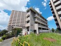 完成写真