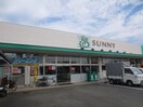 サニー須恵店(スーパー)まで539m Prevoyance須恵中央Ⅱ