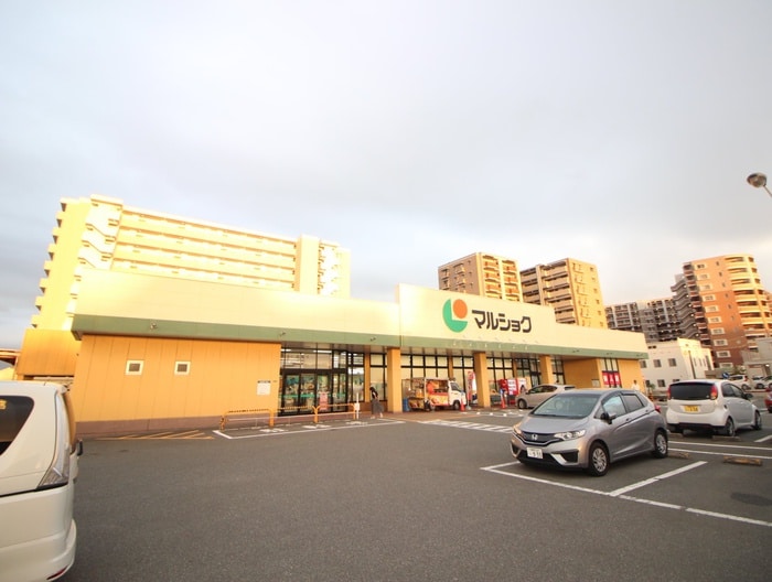 マルショク(スーパー)まで768m マイナミハイツⅡ