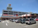 宗像サンリブ(ショッピングセンター/アウトレットモール)まで3300m ｻｰﾌｻｲﾄﾞﾋﾞﾙ赤間