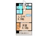 Ａｐａｒｔｍｅｎｔ3771 1LDKの間取り