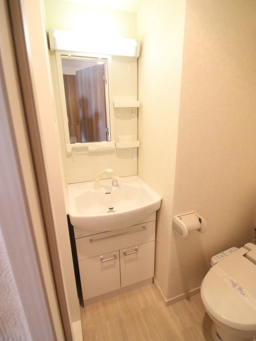 洗面 サヴォイザティファナ(1104)