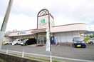 スピナ枝光店(スーパー)まで600m 白川町貸家