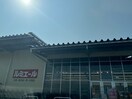 ルミエール　遠賀店(スーパー)まで1900m アヴニール遠賀Ａ