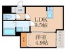 仮)MG　Crecia　 1LDKの間取り