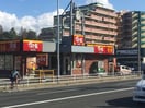 すき屋和白店(その他飲食（ファミレスなど）)まで460m シャトレ和白丘
