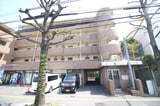 アトレピュア