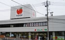 エフコープ(スーパー)まで350m メゾンド　Ｙ