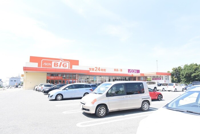 ビッグ(スーパー)まで350m ｆｌｅｕｒ　ｒｉｚｉｅｒｅ野中