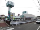 サニー　金山店(スーパー)まで500m ルレーヴ七隈
