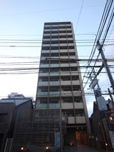 ｻｳﾞｫｲｻﾞ・ﾃｨﾌｧﾅ（1405）