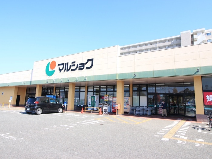 マルショク空港東店(スーパー)まで516m Le Lien Blanc 空港前