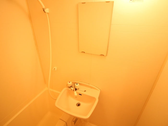 洗面 ﾗｲｽ天神南