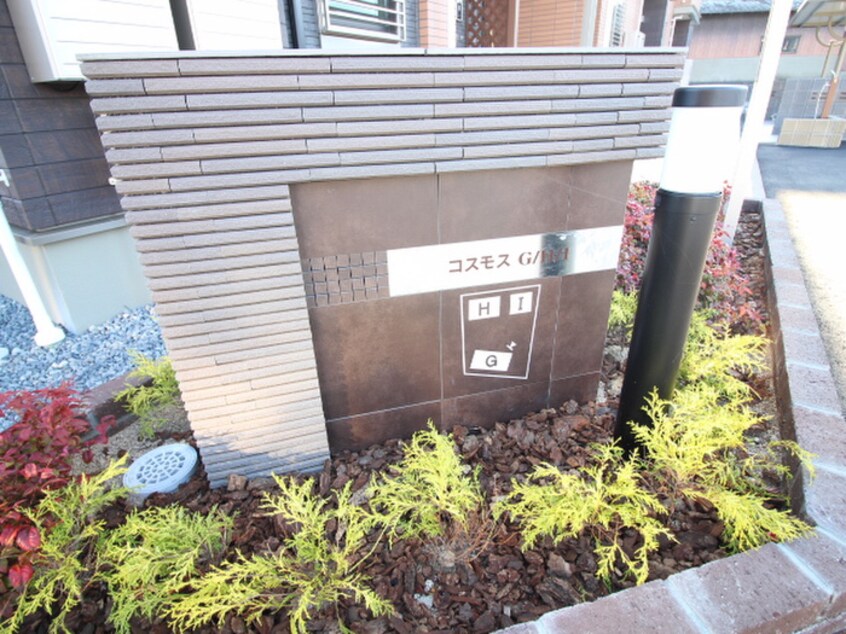 その他 コスモスH