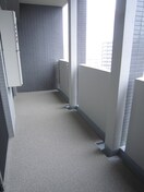 ベランダ・バルコニー ｴｸﾞｾﾞ博多ｺﾝﾄﾞﾐﾆｱﾑ（1111）