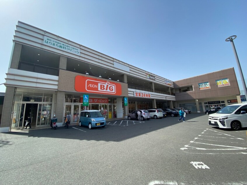 ザ・ビック　小倉原町店(スーパー)まで650m リベルテ南小倉