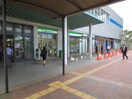 ファミリーマート吉塚駅店(コンビニ)まで310m エンクレスト吉塚駅前Ⅱ（1105）