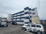 ホワイトグレース２０