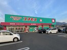 コスモス感田店(ドラッグストア)まで1500m ユニゾン感田　Ａ棟