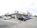 トライアル上津役店(スーパー)まで850m アル・カン・シェル　Ｃ棟