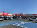 ルミエール福津店(ディスカウントショップ)まで800m コート　ド　シクリステ