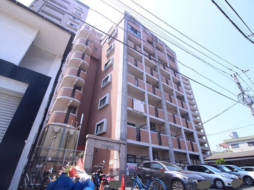 エントランス部分 アクス敷島２１