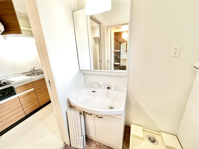 洗面 Ｒｏｙａｌ ｃｉｔｙ黒崎西