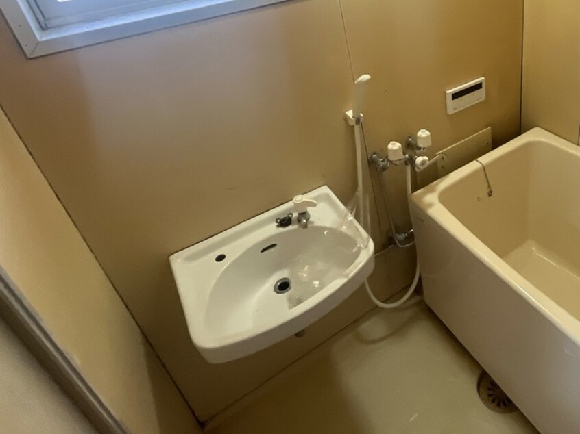 洗面 新緑とそよ風のラテⅡ