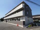 プリムローズ