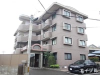 クレセール菜の花