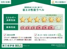 その他 仮）プラシード