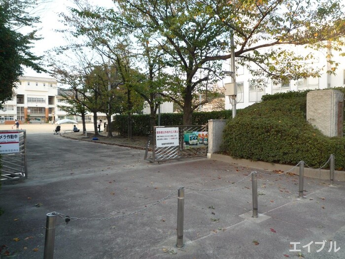 粕屋中央小学校(小学校)まで750m ソフィア原町