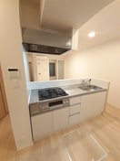 キッチン エアリーガーデンⅢ