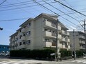 完成写真