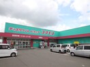 ディスカウントドラッグコスモス 与原店(ドラッグストア)まで800m トレス苅田弐番館