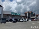 コープかごしま国分店(スーパー)まで550m サンシティ１１