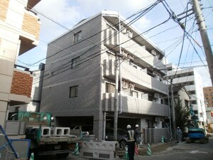 キャメロットグレイス