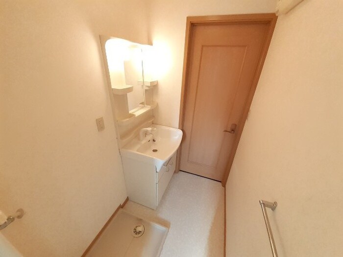 洗面 クリスマスローズⅡ