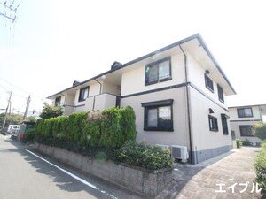 ハイカムール荒木
