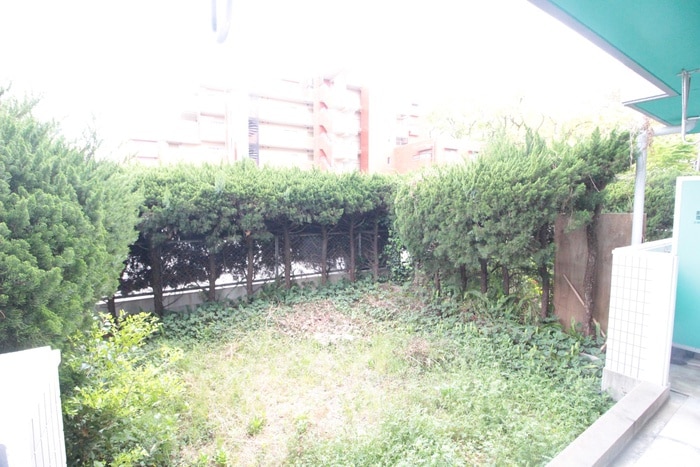 室内からの展望 シュライン参道