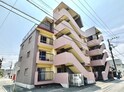 完成写真