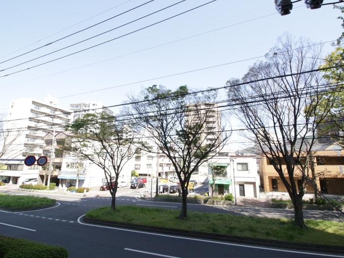 室内からの展望 ア－スコ－ト桜通り